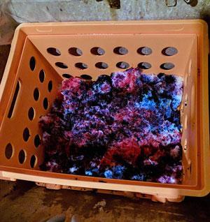 Adding Snow Dyeing to the Felting Fun