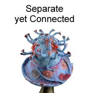 Coronavirus Inspired Felted Hat
