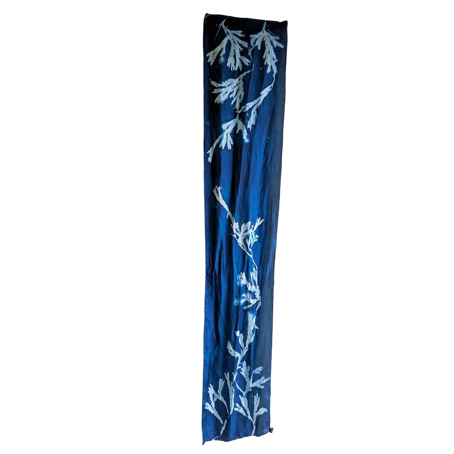 Medium-weight Habotai Silk Scarf with Cyanotype Sunprint - Serrated Wrack Seaweed