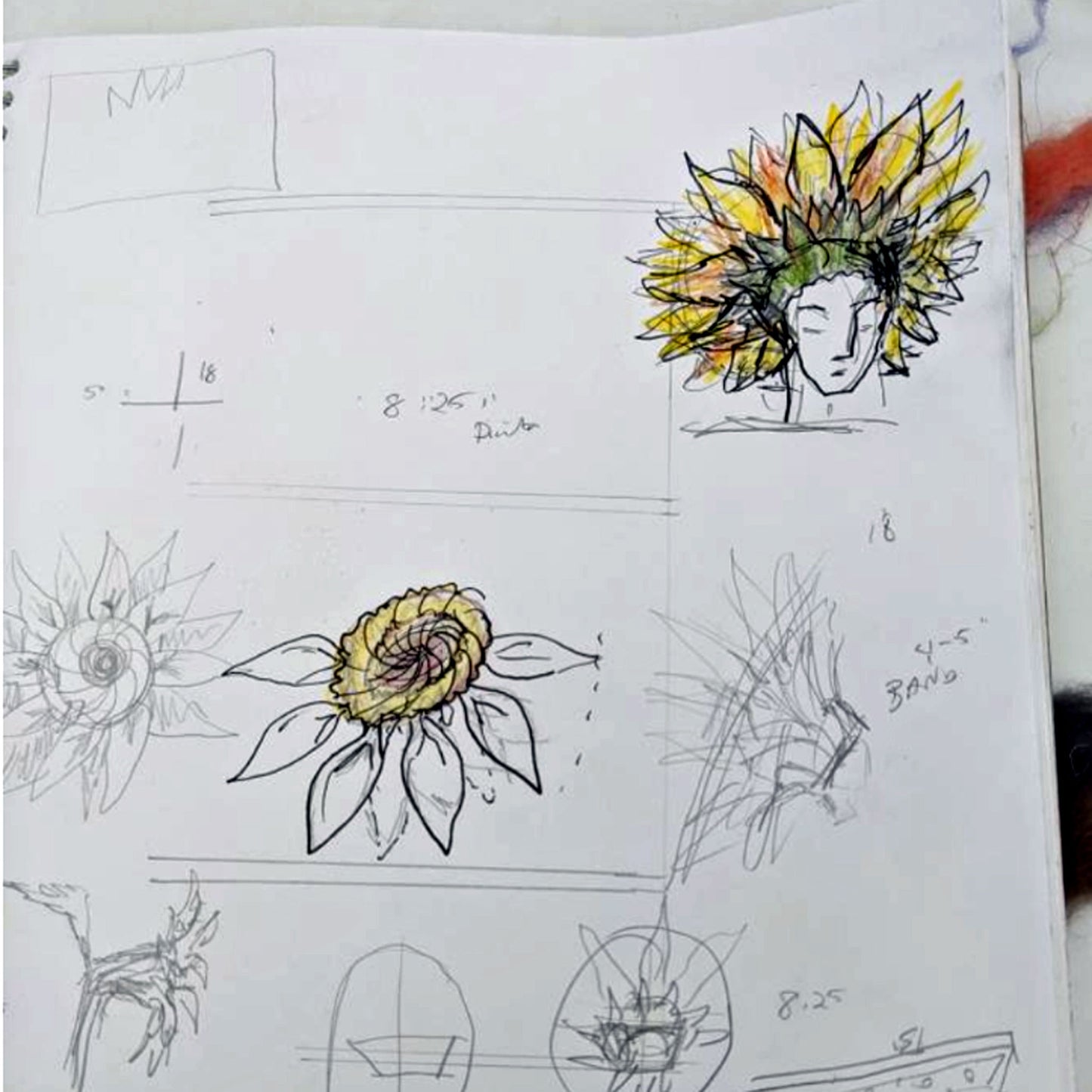 My sketches for a sunflower hat.