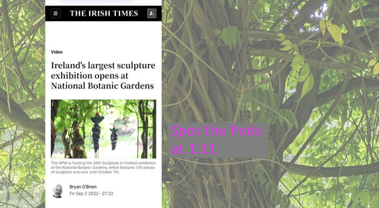 Irish Times features Sculpture in Context in a video.