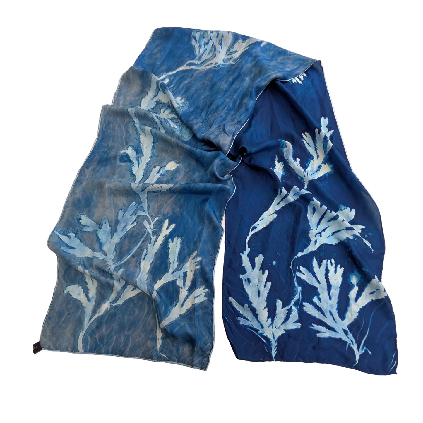 Medium-weight Habotai Silk Scarf with Cyanotype Sunprint - Serrated Wrack Seaweed