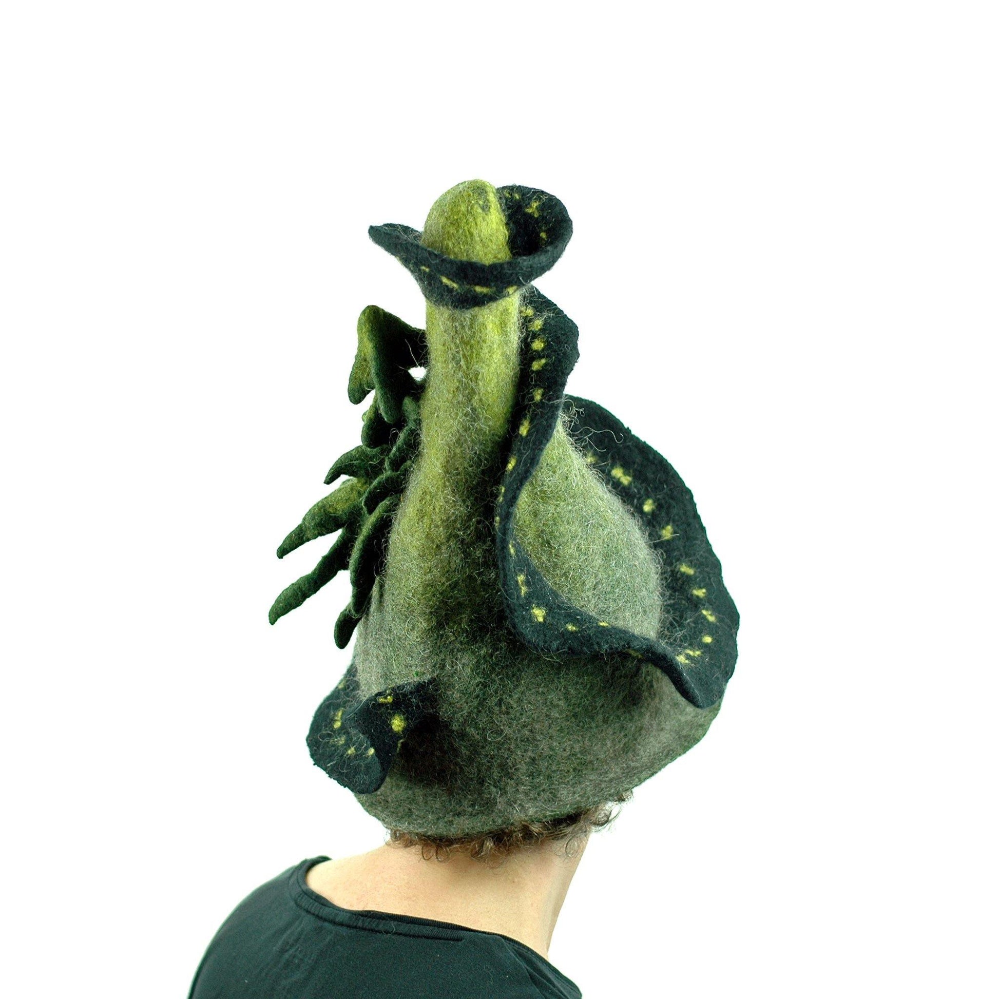 Long and Winding Road Felted Witch Hat -back view