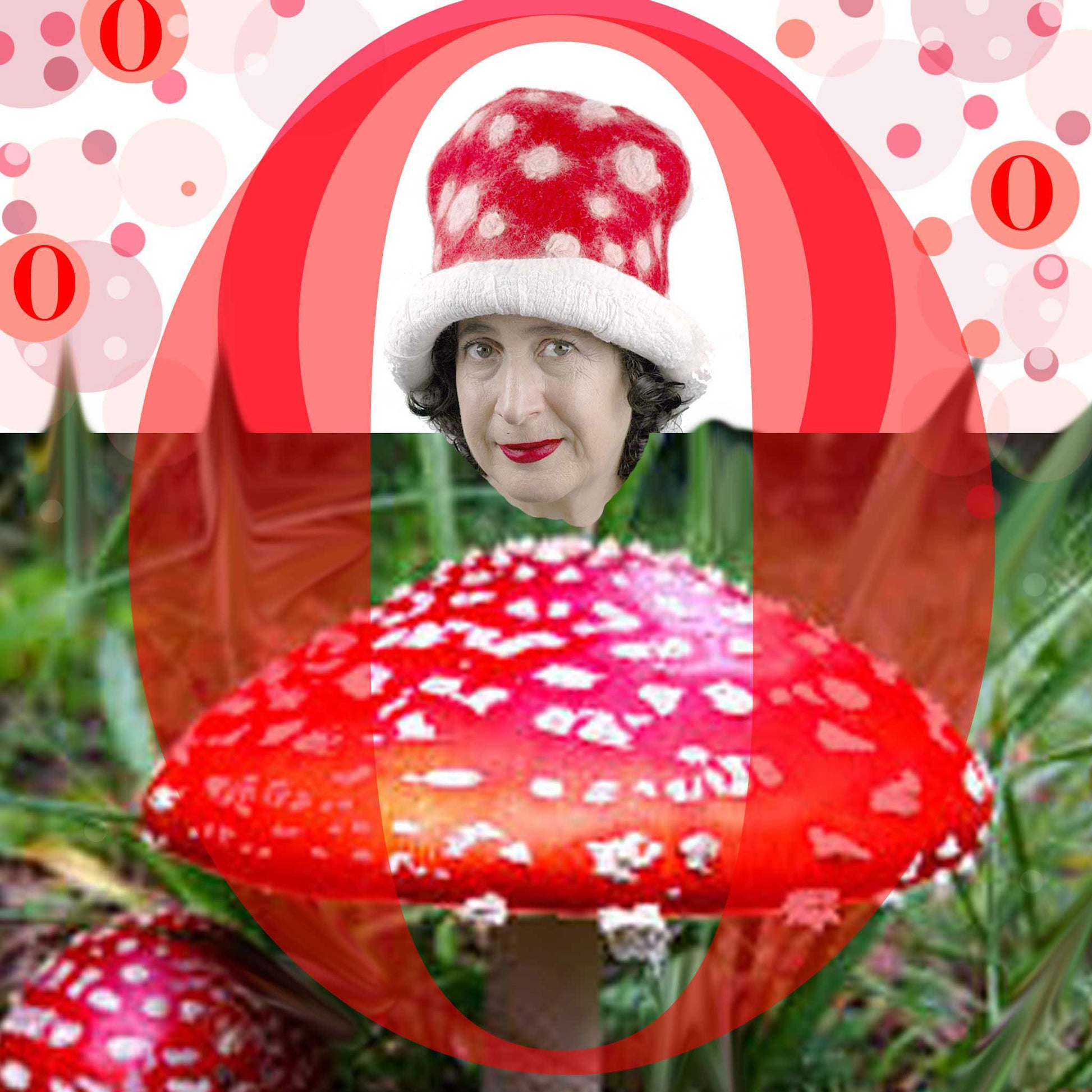 Red and White Amanita Mushroom Felted Top Hat - digital collage.